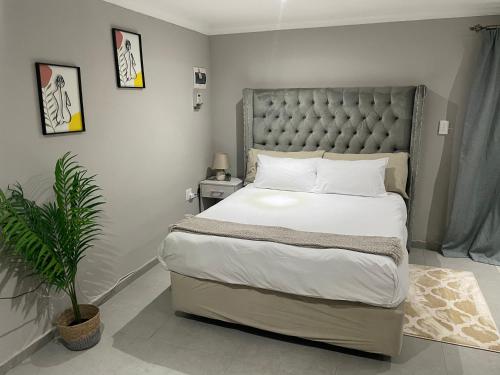 een slaapkamer met een groot bed en een potplant bij Spacious stay-in bachelor apartment in Kempton Park