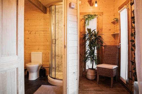 a bathroom with a toilet and a glass shower at Summerhouse @ 73 (Forest of Dean) Gloucestershire in Coleford