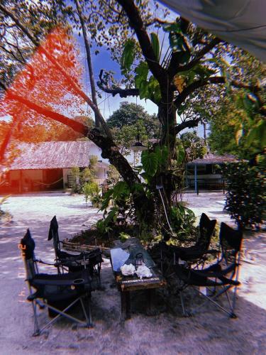 a group of chairs and a table under a tree at Tropical Hostel in Ko Phayam