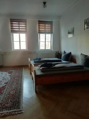 two beds in a room with two windows and a rug at Ferienwohnungen am Jenaer Markt, Mitten im Zentrum, für bis zu 5 und 6 Personen in Jena