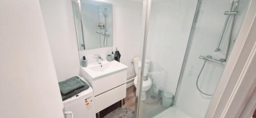 La salle de bains blanche est pourvue d'un lavabo et d'une douche. dans l'établissement Studio terrasse, à Le Cendre