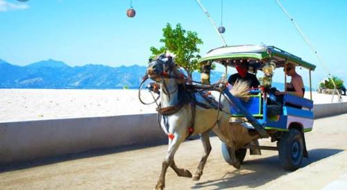 Otras actividades disponibles en el hostal o pensión o alrededores