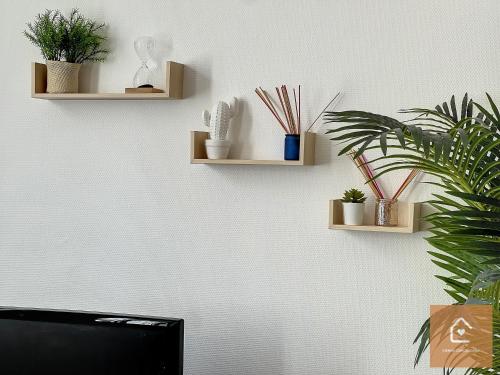 a wall with shelves with potted plants on it at Bienvenue chez Noémie - Arrivée Autonome in Châtellerault