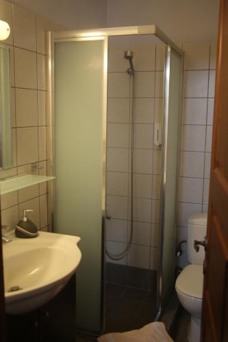 a bathroom with a shower and a sink and a toilet at Guesthouse Kontogianni - Materka in Nymfaio