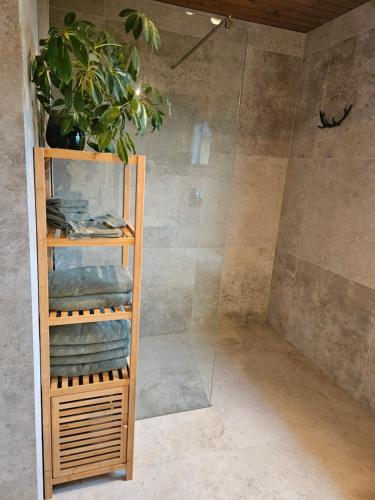 a bathroom with a shower with a towel rack at Ferienhaus im Grünen in Morbach