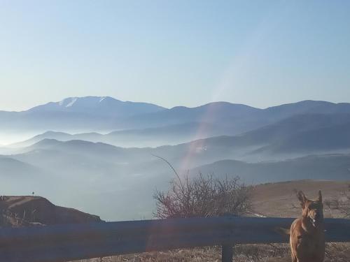 a horse standing next to a fence with mountains in the background at Guesthouse Kontogianni - Materka in Nymfaio