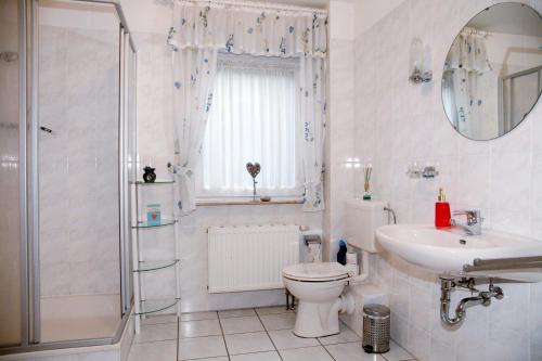 a bathroom with a toilet and a sink and a shower at Maggie´s Ferienhaus in Winterberg