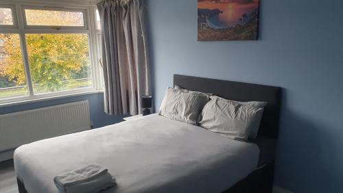 a bed in a bedroom with a blue wall at Harington Homes in Palmers Green