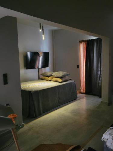 Tatami zen apartment