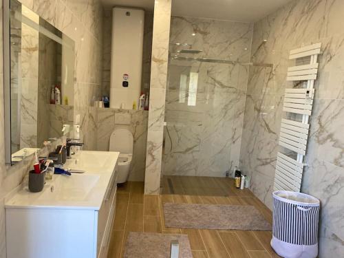 une salle de bain avec une douche, un lavabo et des toilettes dans l'établissement Magnifique villa familiale avec piscine, à Nice