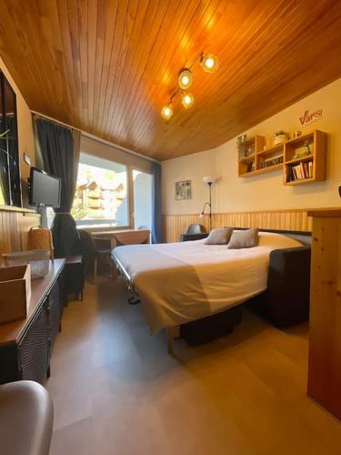 Schlafzimmer mit einem Bett, einem Schreibtisch und einem TV in der Unterkunft Chaleureux studio à 150m du Point Show in Vars