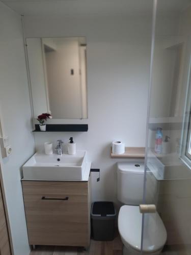 a bathroom with a sink and a toilet and a mirror at Chalet Trigano in Lauwersoog