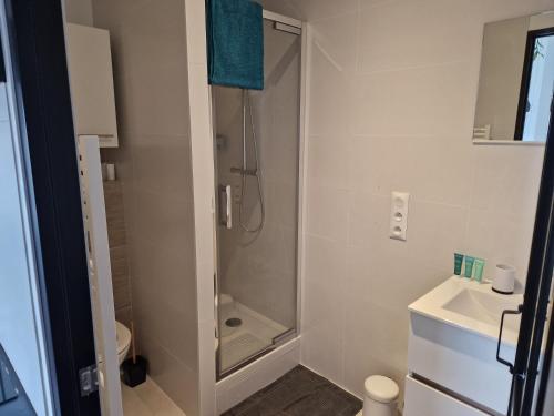 une salle de bain avec douche et lavabo dans l'établissement Beau studio 24m2 près de Airbus, à Montoir-de-Bretagne