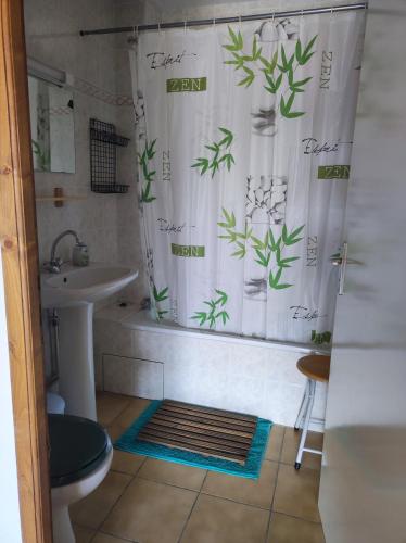 une salle de bain avec un rideau de douche avec des toilettes et un lavabo dans l'établissement Appartement les Angles, aux Angles