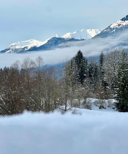 a view of a snow covered mountain range with clouds at Nassfeldblick in Kirchbach