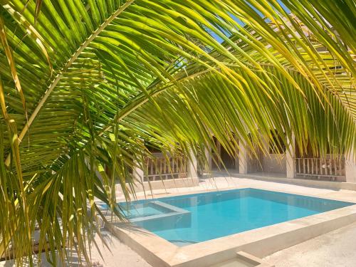 a large palm tree next to a swimming pool at Chokoro House in Paje