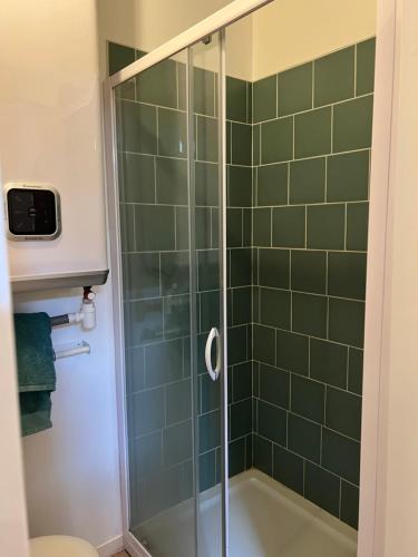 a shower in a bathroom with green tiles at Un jardin en ville in Toulouse
