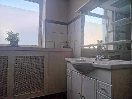 a bathroom with a sink and a window at B&B 't Kloaster kamer Het Landhuis in Hulsberg