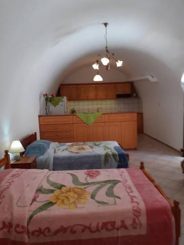 1 dormitorio con 2 camas en una habitación en klisounis house, en Leonidio