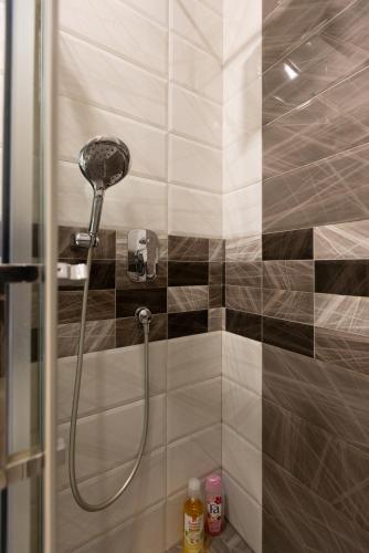 a shower with a shower head in a bathroom at Central Park Apartments in Belgrade