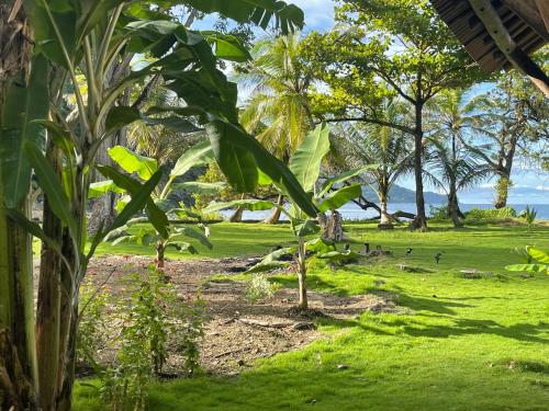 Un paisaje natural cerca de la casa de huéspedes