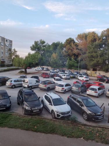 Apartman Roža