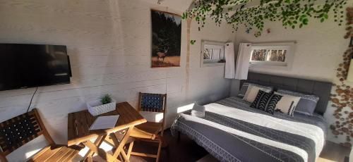 Schlafzimmer mit einem Bett, einem TV und einem Tisch in der Unterkunft La Rikiki du petit ruisseau in Mandeville