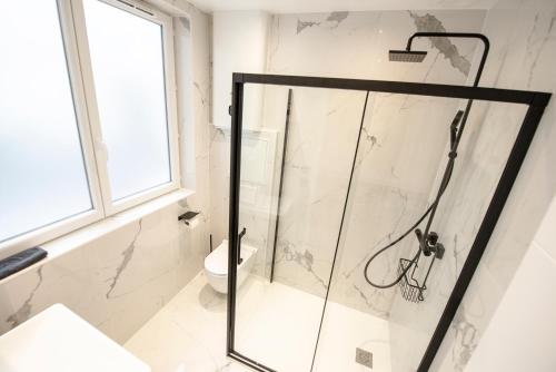 une douche avec une porte vitrée dans une salle de bain dans l'établissement Appartement cosy Montorgueil (Bonne Nouvelle), à Paris