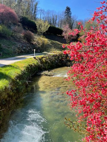a stream with pink flowers next to a road at Domaine Du Moulin Vallée Heureuse in Poligny