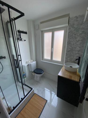 ein Bad mit einer Dusche, einem Waschbecken und einem WC in der Unterkunft Cosy maison de ville Rouennaise in Rouen