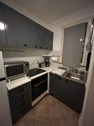 une petite cuisine avec un évier et un micro-ondes dans l'établissement Calvi Lumio location face mer, à Lumio
