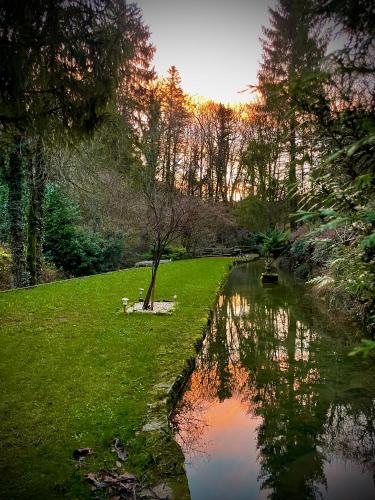 a river with a tree in the middle of a park at Domaine Du Moulin Vallée Heureuse in Poligny