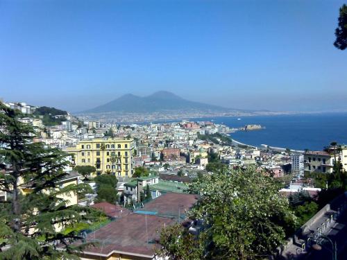 a view of a city with the ocean in the background at Flaviogioia Apartment in Naples