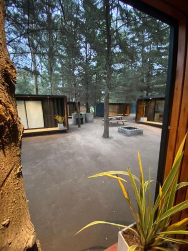 Bosque – Photos 3