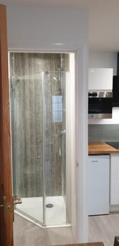 a shower with a glass door in a kitchen at Tiny home whole flat beach cabin in Southwick