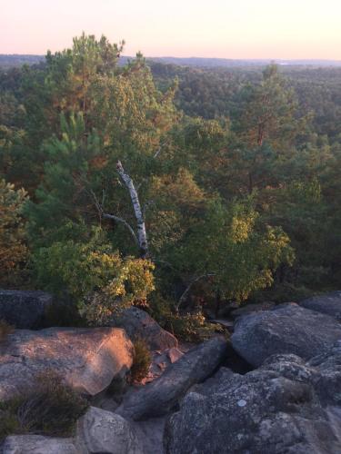 a view from the top of a mountain with rocks and trees at Chambres au coeur du Massif des Trois Pignons in Noisy-sur-École