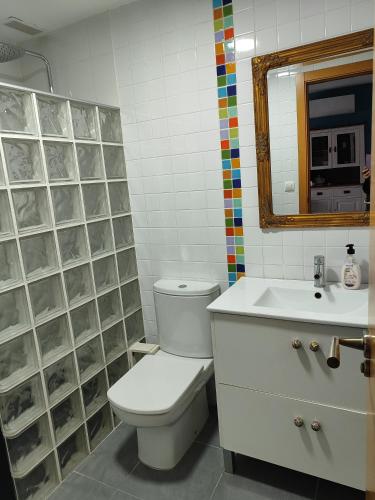a bathroom with a toilet and a sink and a mirror at Apartamento Piles Playa in Piles
