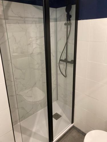 a shower with a glass door in a bathroom at ALINE GRAND HOTEL in Capvern