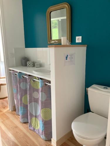 a bathroom with a sink and a toilet with a mirror at Maison Sottou in Osse-en-Aspe