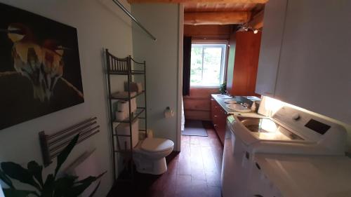 La salle de bains est pourvue d'un lavabo et de toilettes. dans l'établissement Le relaxant chalet du petit ruisseau, à Mandeville