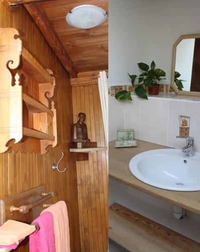 une salle de bain avec un lavabo et un miroir dans l'établissement les 3 mesanges, à Florac Trois Riviere