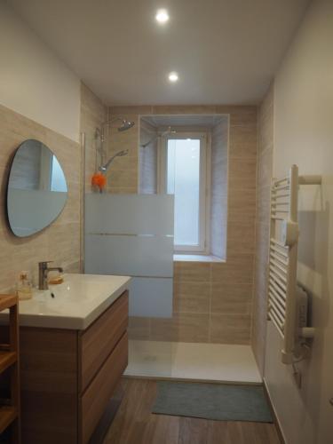 une salle de bain avec une douche, un lavabo et un miroir dans l'établissement Le Cocon, à Millau