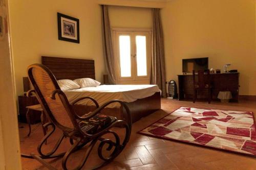 1 dormitorio con 1 cama, 1 silla y 1 alfombra en Sakkara Royal House, en El Cairo