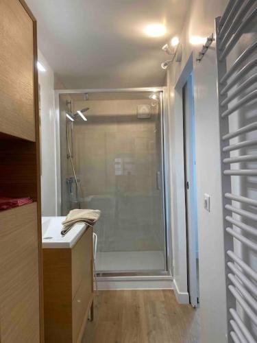 une salle de bain avec douche et lavabo dans l'établissement Domaine Font Castel - Gîte Faimes, à Béziers