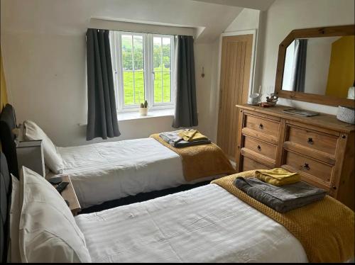 a bedroom with two beds and a dresser and a mirror at Penrhosmawr in Machynlleth