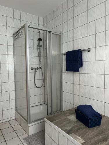 a bathroom with a shower with a glass door at F&M Wohnungen in Olpe in Wenden