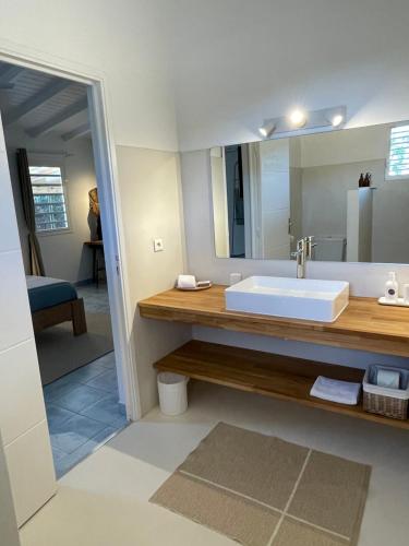 een badkamer met een wastafel en een grote spiegel bij Le Bungalow & Car rental in Saint Barthelemy