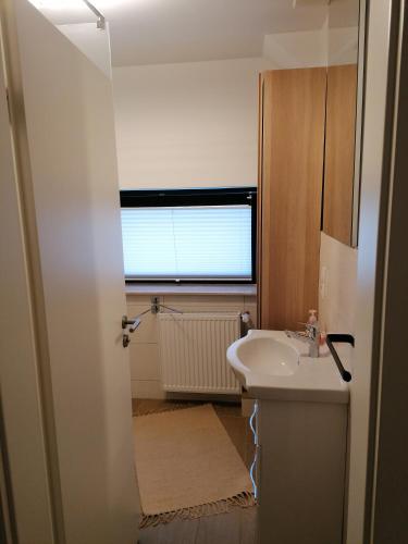 a bathroom with a sink and a window at Gemütliche Wohnung auf 2 Etagen in Lengerich