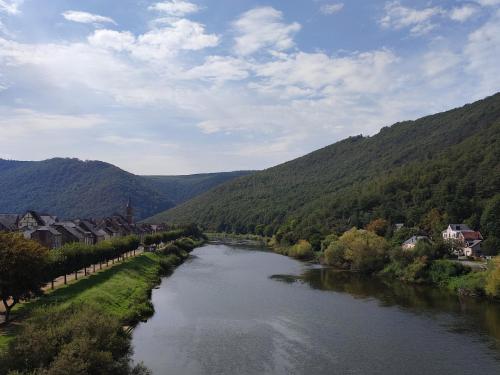 a river in a valley with houses and trees at Entre Meuse et forêt in Revin