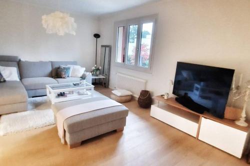 Il comprend un salon doté d'un canapé et d'une télévision à écran plat. dans l'établissement Maison du Jonc, Genève-Aéroport, à Genève